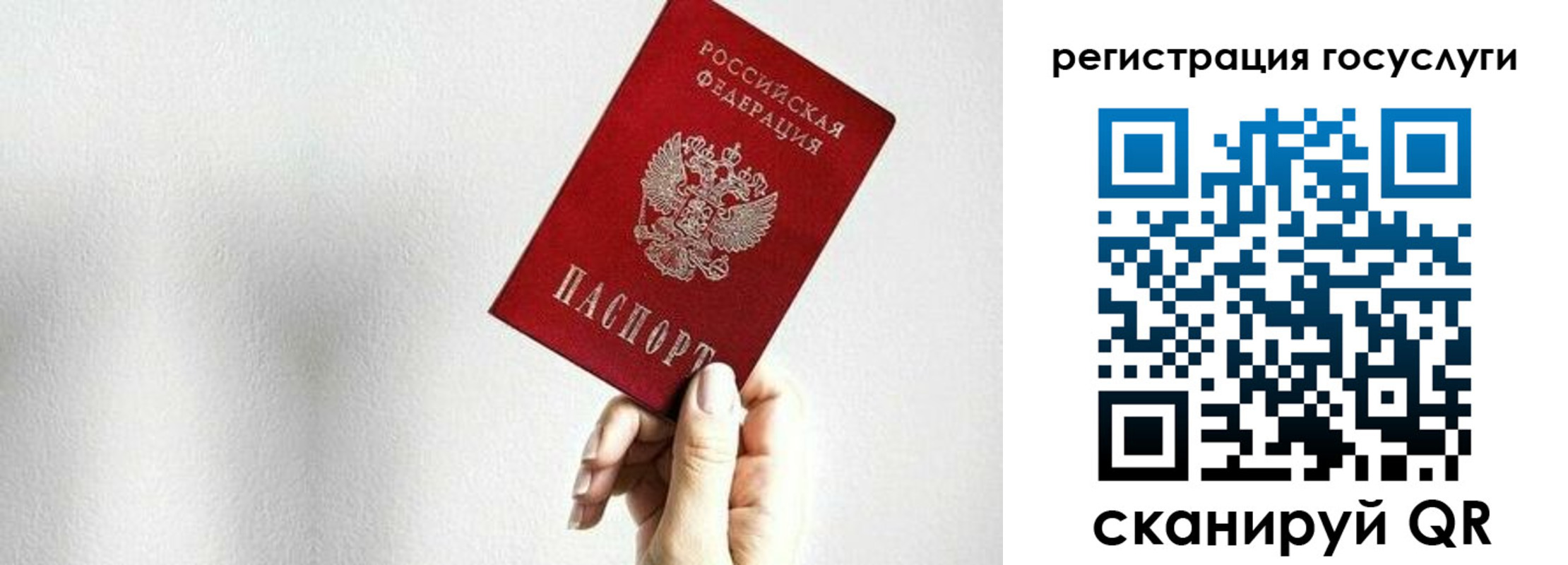 прописка гарантия в Данкове